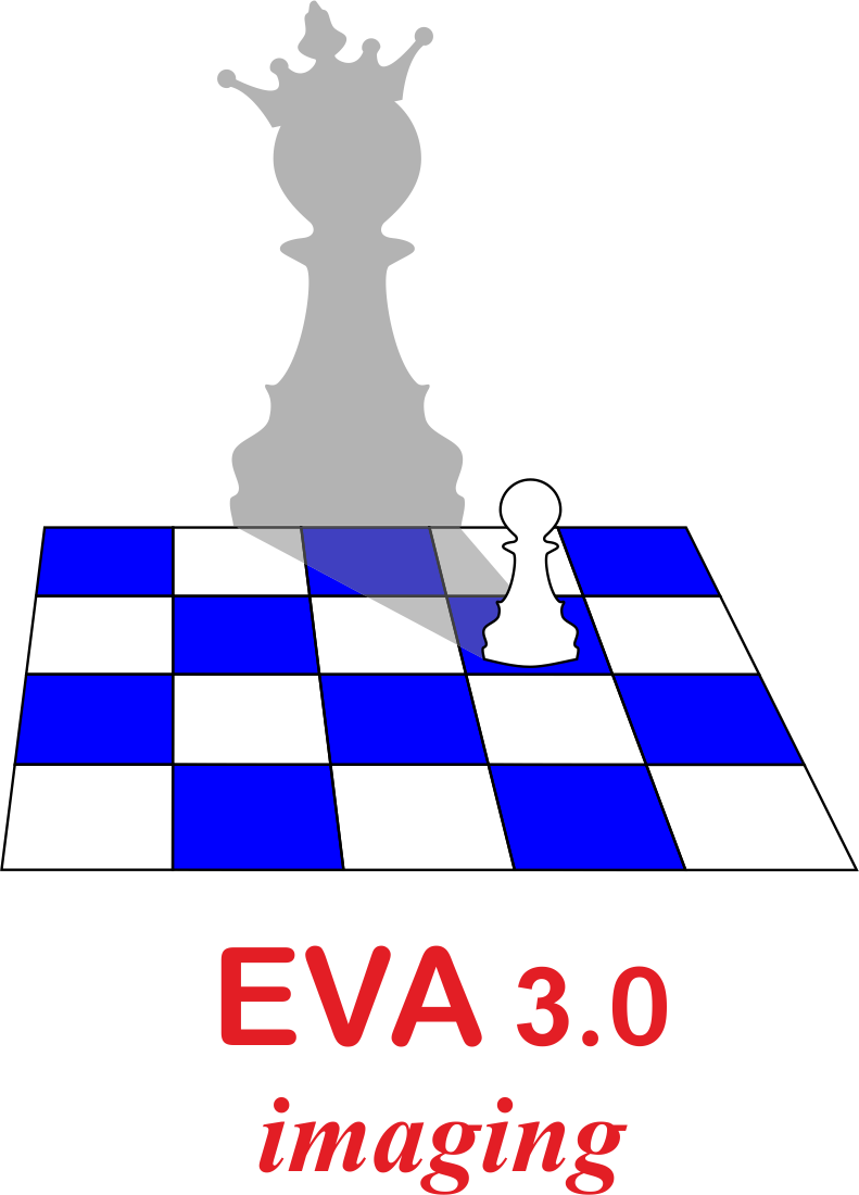 EVA30 Icon